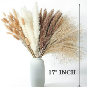 100PCS Dried Stem Bundle, Pampas Grass - Bunny Tail Grass - Reed Grass