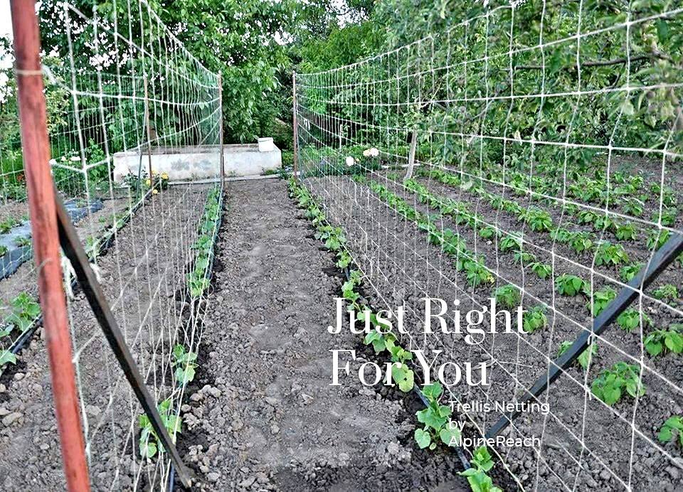 🏷️1 PACK of (5ft X 30ft) Garden Trellis Net - Strong & Durable Support - LIMITED STOCKS🔥