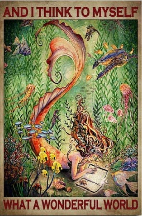 Mermaid On The Ocean- 8"x12" Vintage Metal Sign