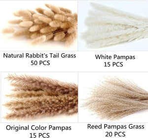 100PCS Dried Stem Bundle, Pampas Grass - Bunny Tail Grass - Reed Grass