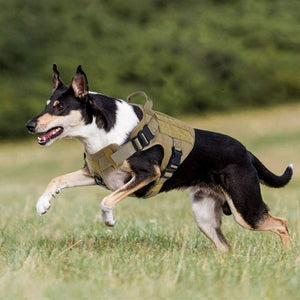 Large Brown Tactical Dog Harness with Handle No-pull Large Military Dog Vest US Working Dog