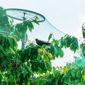 13.2Wx20L(Ft) Green Anti Bird Protection Net Mesh Garden Plant Netting Protect Plants - NEW!!