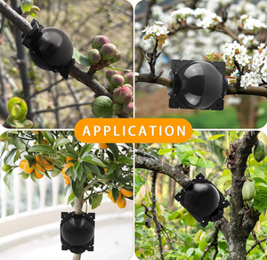 SALE!! 12PCS Plant Rooting Device High-Pressure Propagation Ball Graft Boxes Grow 5CM