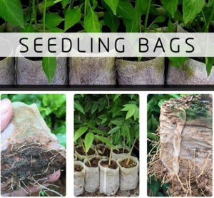 500 pcs Assorted Sizes Seedling Plant Grow Bags,