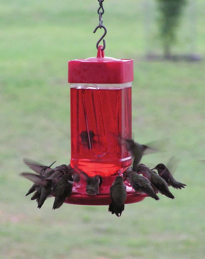 Large 32 oz Hummingbird Feeder Hanging Bee Guard Summer Birds Easy Fill Outdoor Backyard Birds