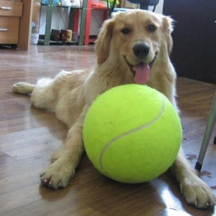 Giant Tennis Ball for Dogs - large