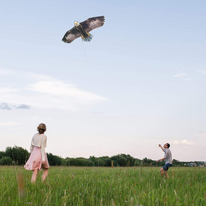 70" Bald Eagle Huge Kite for Kids