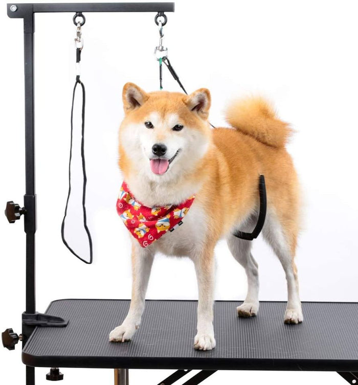 Breeze Touch Dog Grooming Table Arm - Loop Noose, No Sit Haunch Holder Grooming Restraint for Small & Medium Dogs