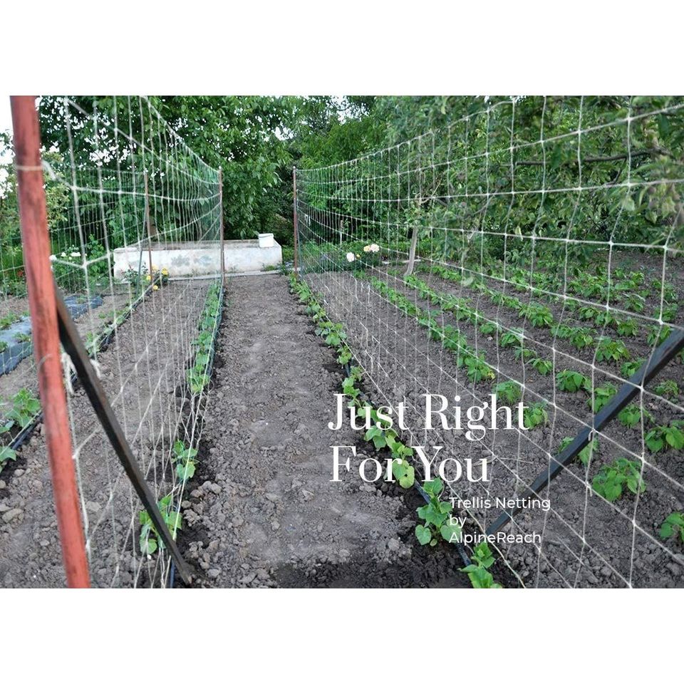 trellis netting plant support 5 x 15 ft Trellis Netting Plant Support and Fruit Climbing Mesh Garden –  Shop Premium