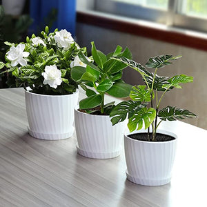 6 Pack Simple Plastic Plant Pots with Drainage Hole and Saucer
