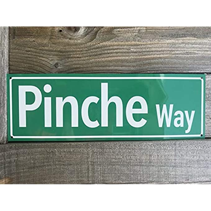 Mexico Pinche Way Tin Road Street Sign Mexican Rd Ave 16" x 4" New