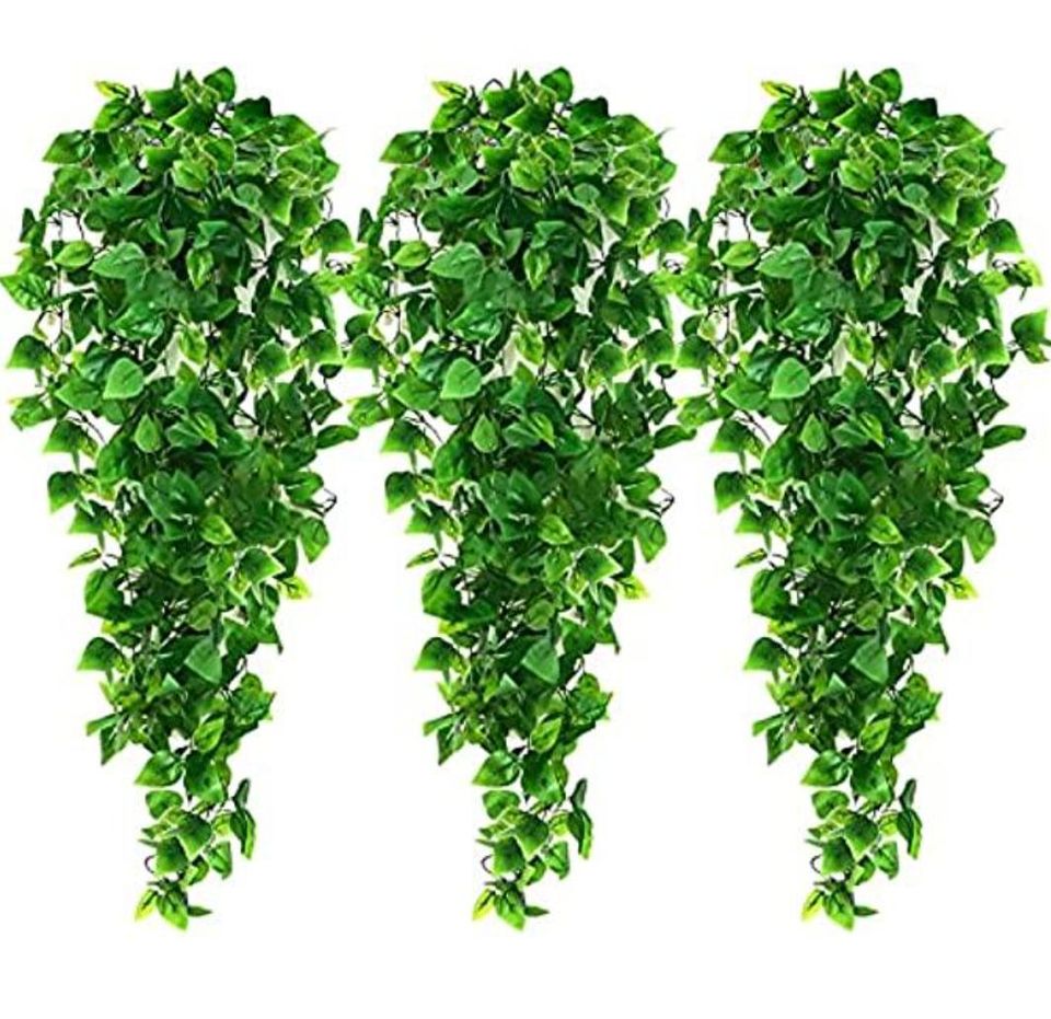 3 Fake But Real Looking Plants
