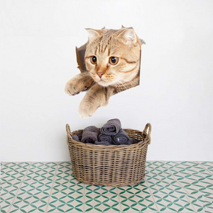 3D Removable Cats Wall Stickers 11pcs
