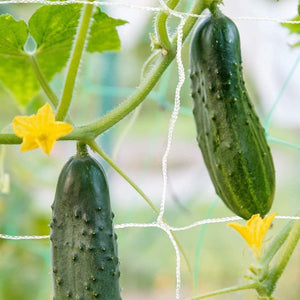🏷️1 PACK of (5ft X 30ft) Garden Trellis Net - Strong & Durable Support - LIMITED STOCKS🔥