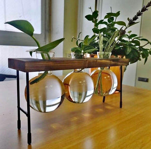 💖SALE💖Desktop Propagation Stations Planter Glass Terrarium Bulb Vases with Wooden Stand