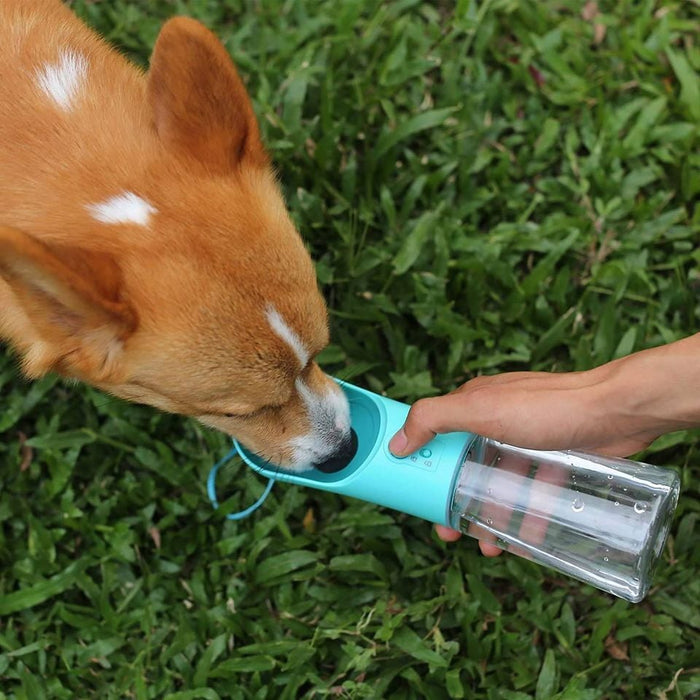 water bottle for dog bowl
