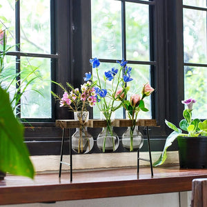 💖SALE💖Desktop Propagation Stations Planter Glass Terrarium Bulb Vases with Wooden Stand
