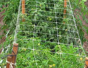Heavy Duty Garden Net Polyester Plant Support Netting Mesh 2pcs