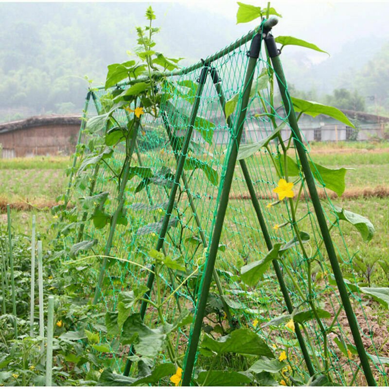 1 Pc Garden Climbing Strong Nylon Net Plant