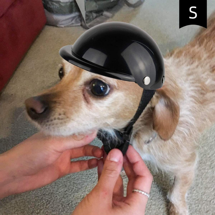 Motorcycle Dog Helmet (Small)