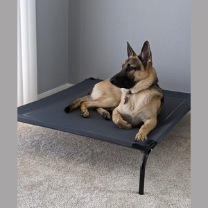 Outdoor Elevated Dog Bed