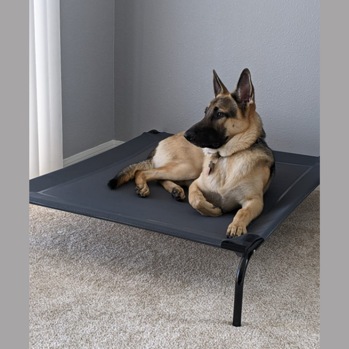 Outdoor Elevated Dog Bed