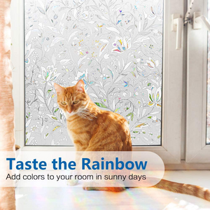 Frosted Opaque Removable Glass Cover