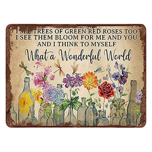 Dragonfly What A Wonderful World Tin Sign