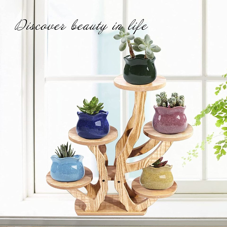 tiered succulent pot Tiered Plant Stands Succulent Pot Small Plant Shelf Stand for Indoor – Shop  Premium