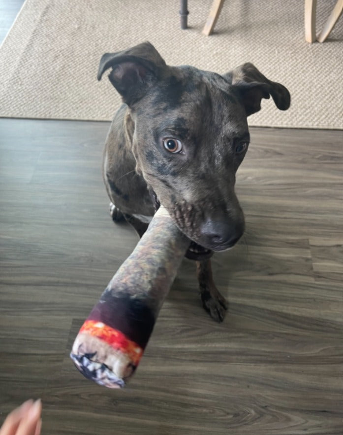🔥HOT ITEM🔥Doggy Doobie Plush Toys