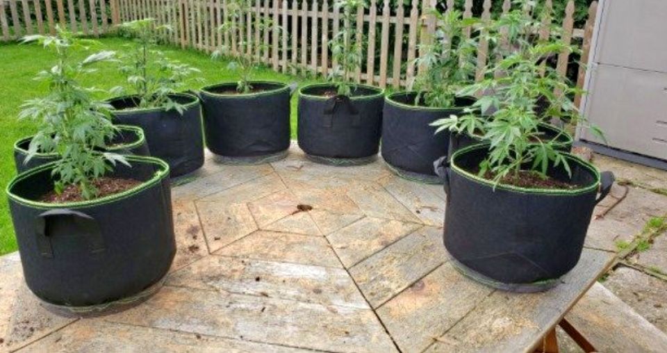 10-Pack 10 Gallon Grow Bags Heavy Duty Aeration Fabric Pots Thickened Nonwoven Fabric Pots Plant Grow Bags with Handles