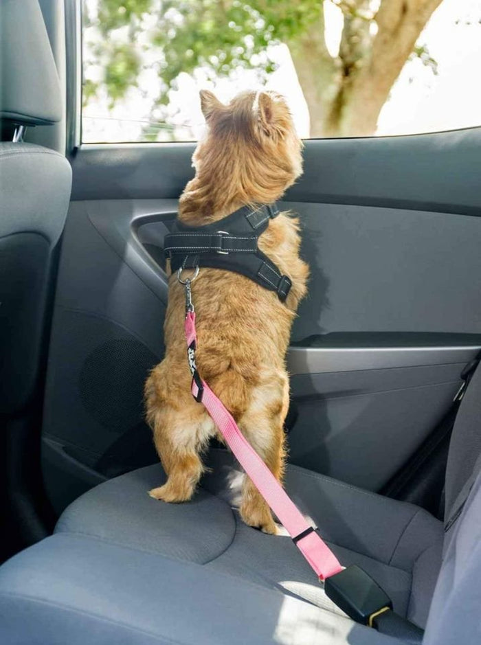 2 PACK! Dog Seatbelts for Car, Truck, Suv. Keep your pets safe!