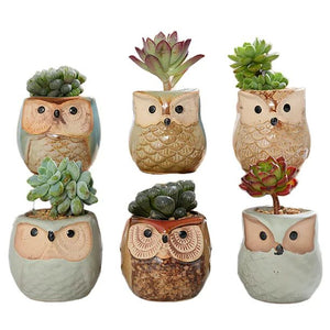 Pack of 6 - 2.5 Inch Owl Ceramic Succulent Plants Pots
