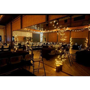 Lighted Willow Vine