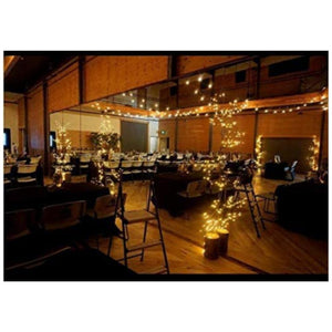 Lighted Willow Vine