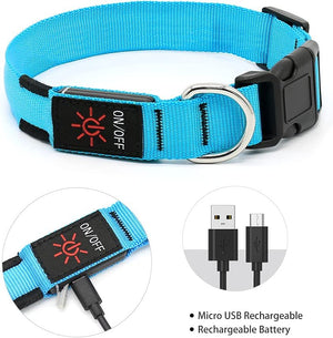 LED Dog Collar, USB Rechargeable Glowing Light Up Collar, Adjustable, Blue