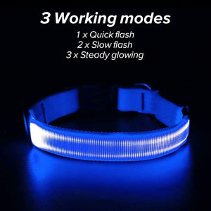 LED Dog Collar, USB Rechargeable Glowing Light Up Collar, Adjustable, Blue