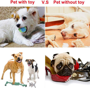 � 10 Pack Dog Toys Durable Puppy Toys Prevent Boredom Anxiety