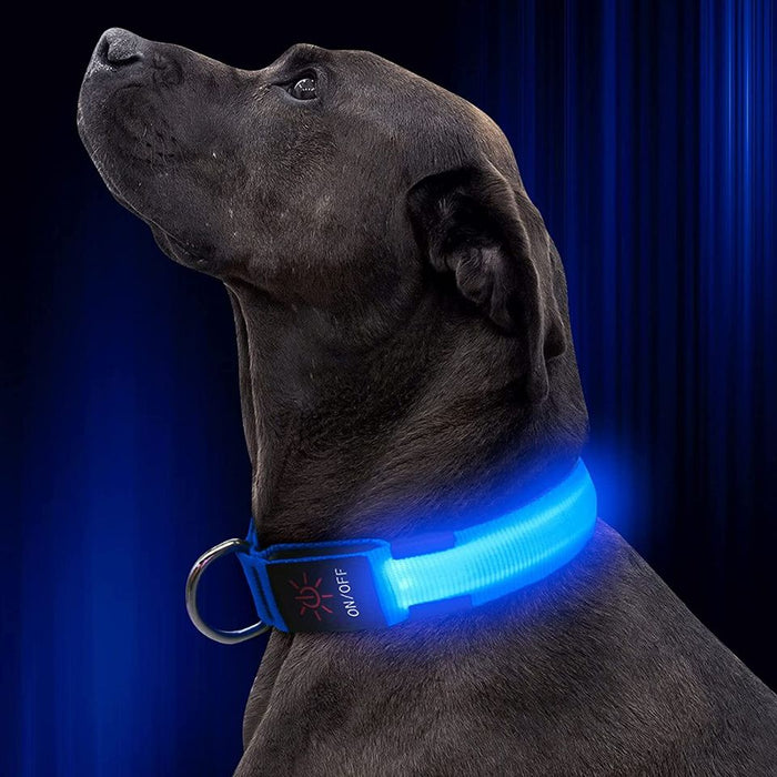 LED Dog Collar, USB Rechargeable Glowing Light Up Collar, Adjustable, Blue