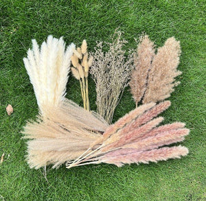 100Pcs Pampas Grass Flowers Boho Home Decor Dried Pampas for Indoor&Outdoor Decore(White-Brown)