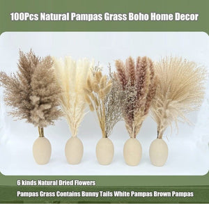 100Pcs Pampas Grass Flowers Boho Home Decor Dried Pampas for Indoor&Outdoor Decore(White-Brown)