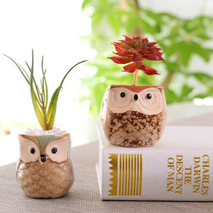 Pack of 6 - 2.5 Inch Owl Ceramic Succulent Plants Pots