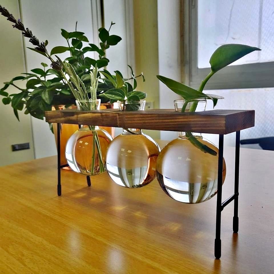 Tabletop Propagation Glass Terrarium 3 Bulb Vases with Wood Stand